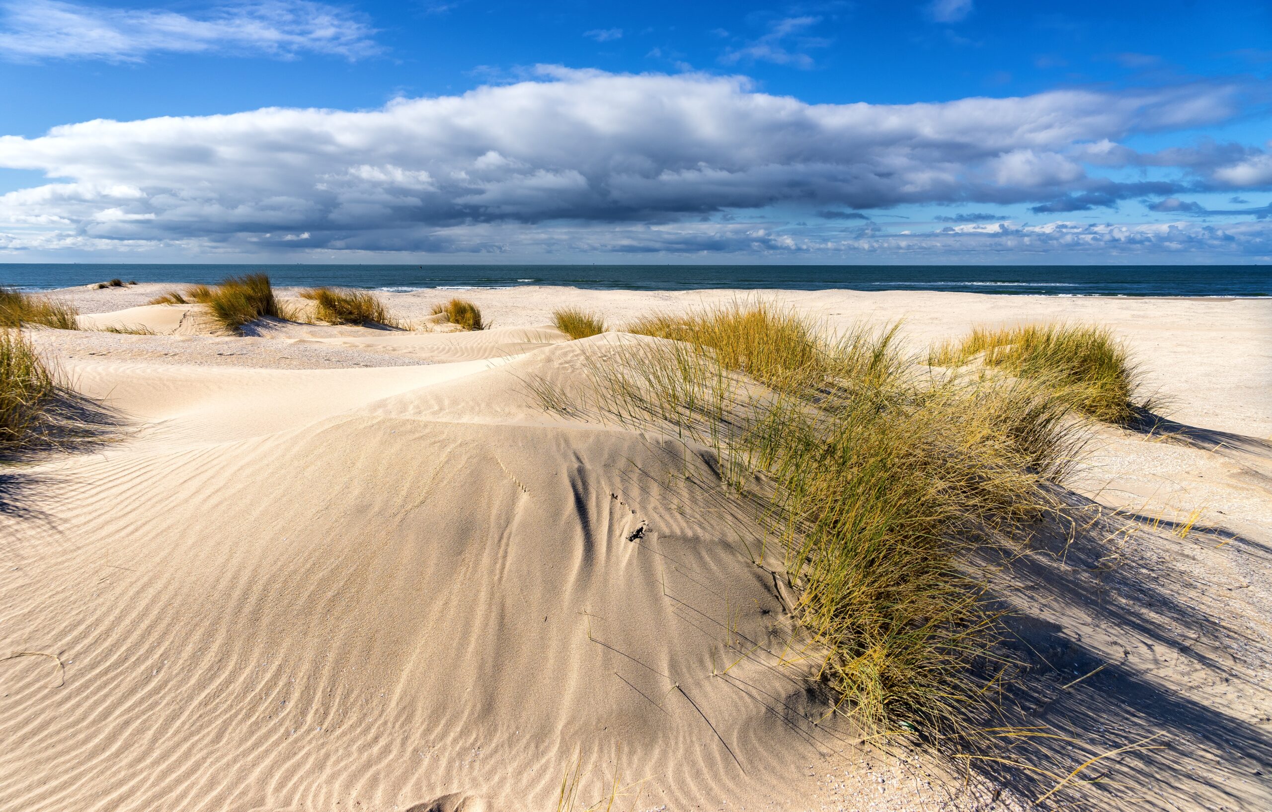 The empty beaches of the spring of 2020 due to the social distancing for the Dutch population